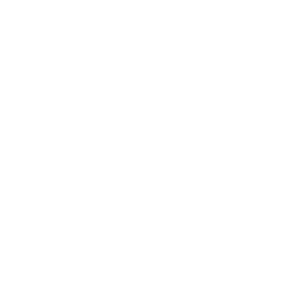 Key Feature