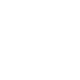 Key Feature