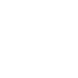 Key Feature