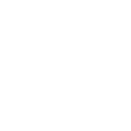 Key Feature