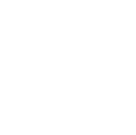 Key Feature