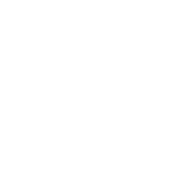 Key Feature