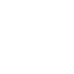 Key Feature