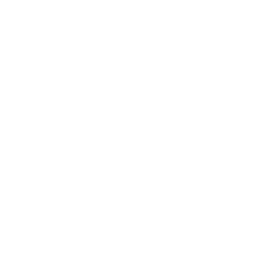 Key Feature