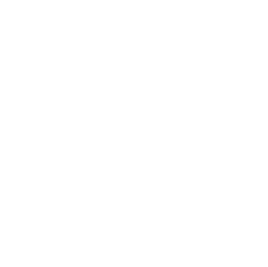Key Feature