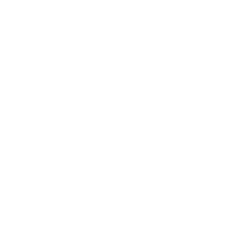 Key Feature