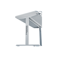 Twisted Minds TM-PARADOX120-W Gaming Desk - White - TM-PARADOX120-W